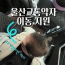 광양시 교통약자이동지원센터 | 임산부·영아·고령자 바우처 택시 이용방법(후기) #울산교통약자이동지원센터