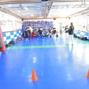 그린태권도 이미지