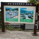 격포진료소 티스토리