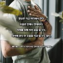 1033 | 사랑 명상 1033