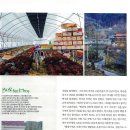 주천면 고촌마을 이미지