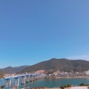 몽하카페