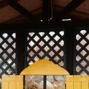 잣나무집 이미지