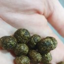 채릇채릇 이미지