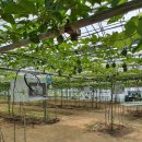 두리농장 이미지