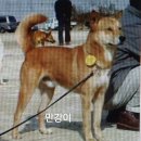 만강 Daum카페