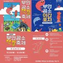 193rd 부안 곰소젓갈 축제 캠핑후기