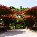 해돋이공원 네이버블로그