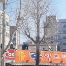 콜마트프라임점