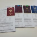 진성 행정사사무소 이미지