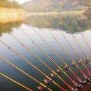 남한강낚시 이미지