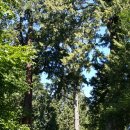 장미공원안내소 이미지