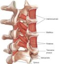 코어&밸런스트레이닝센터 이미지
