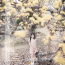 예원 이미지