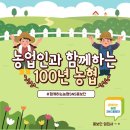 홍주보석 네이버블로그