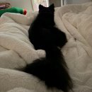 두름농장 | 일상, 연휴 그리고 엄마랑 서울데이트까지🍀