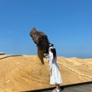 동화택시 | 대만 예스지택시투어 내돈내산후기