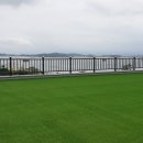 충남조경 티스토리