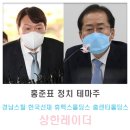 홍준표관련주 경남스틸 한국선재 휴맥스홀딩스 홈센타홀딩스