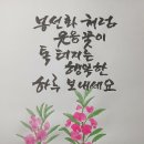한국사 퀴즈 이미지