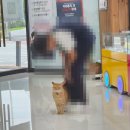 안경매니져반석점 이미지