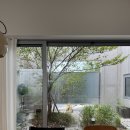 프로퍼밀도 이미지