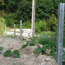 땅위의농장 이미지