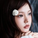 비주얼맵스