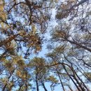 좋은하루캠핑장 이미지