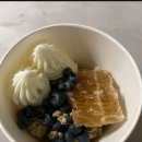 요거트아이스크림정석