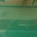 칠삭동이 이미지