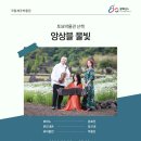 토요바이올린(오후) 이미지