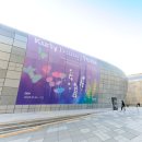티페 스포츠한국