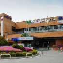 태백시치매안심센터 이미지