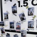 지구세탁소 이미지