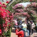 향기가득 이미지