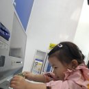 5월 결제놀이미션 꽃잎반 배율은 이미지