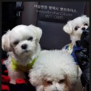 천동로또 이미지