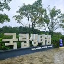 신기한 동식물여행 2 | 여행] 충남 서천 국립생태원 에코리움 동식물 전시관...너무 좋은 &#39; 국립 생태원 &#39; 내돈내산 대추천 후기💚