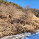 무도3리 마을회관 이미지