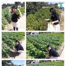 베이비캐슬어린이집 이미지