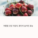 앵두 - 가평군 조종희망로 41 | 앵두