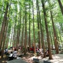 평화모텔 이미지