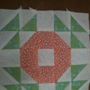 단아하개 이미지