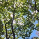 선경레이카운티부동산공인중개사사무소 이미지