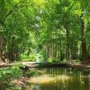 기후위기 대응을 위한 녹색생활 이미지