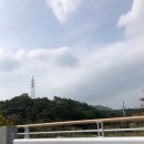 넬라 포레스타 | [의왕 데이트] 서울 근교 데이트 카페 "넬라 포레스타" 자세한 후기