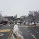 단국대 진입로 이미지