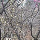 매화세탁소 이미지