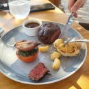 두바이(DUBAI) | [두바이 신혼여행 2] Rove Downtown Dubai 숙소 후기 &amp; 두바이 시티투어 BIG BUS